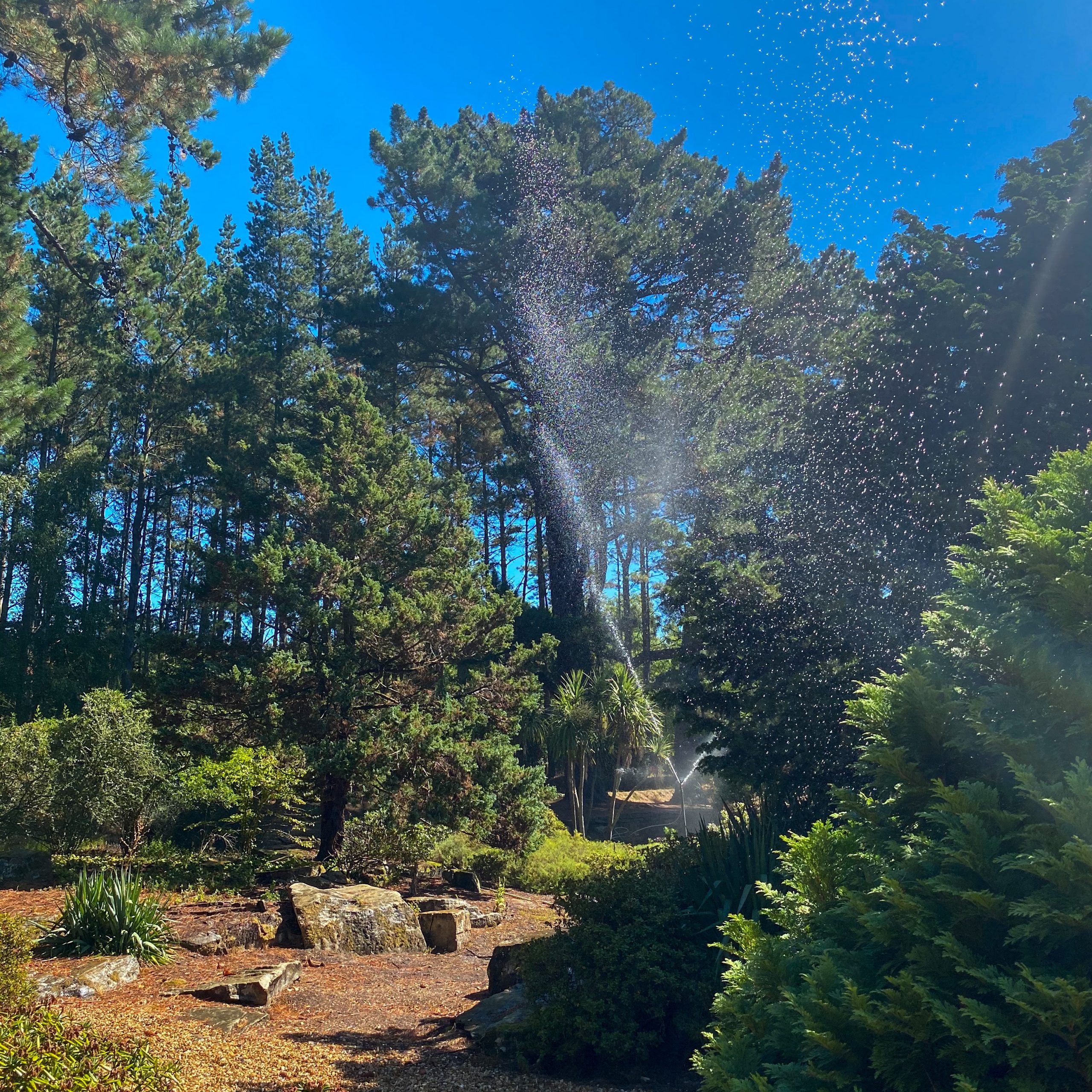 water sprinkler in gardens